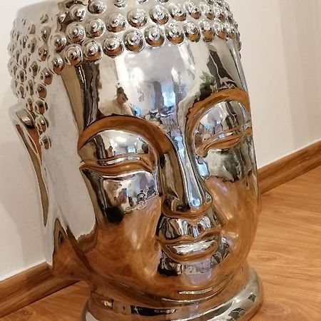 Masaryss Apartament Tulcsa Kültér fotó