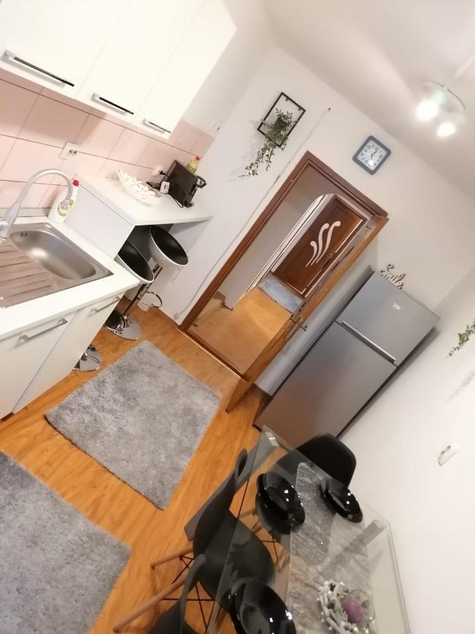 Masaryss Apartament Tulcsa Kültér fotó