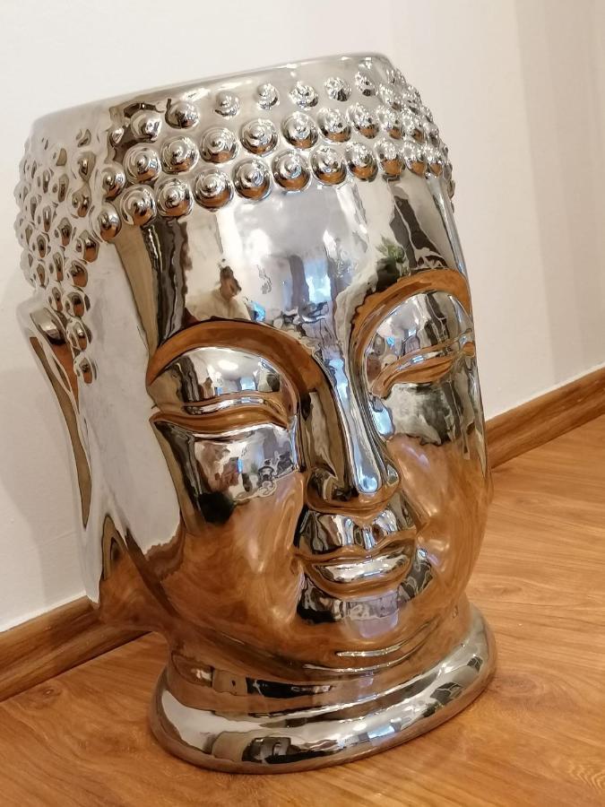 Masaryss Apartament Tulcsa Kültér fotó